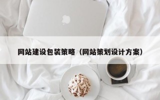 金湖网站建设包装策略（网站策划设计方案）
